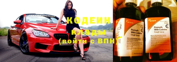 индика Нижневартовск
