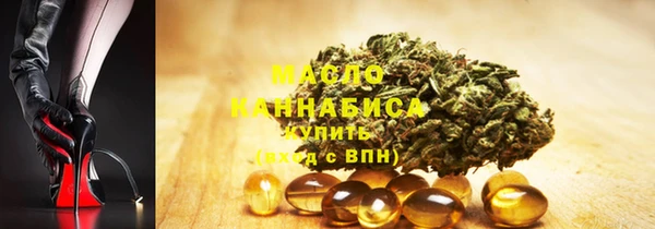 индика Нижневартовск