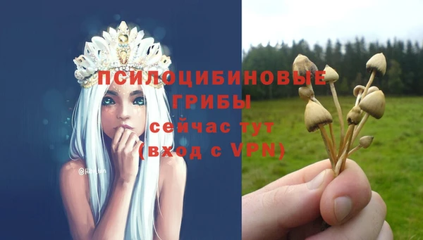 мескалин Нефтегорск